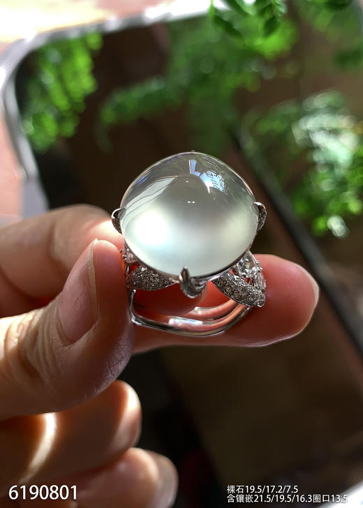 玻璃种蛋面戒指【6190801】具体价格微信咨询 商品图8