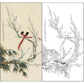 工笔画白描底稿于非闇花鸟《梅花双鸟》临摹勾线高清打印稿FA66
