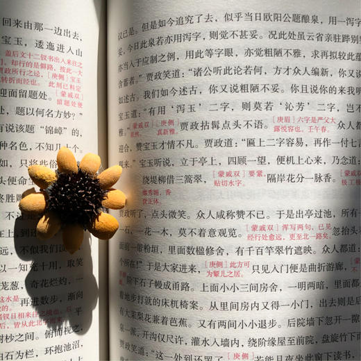 脂砚斋评石头记上下两册 商品图4