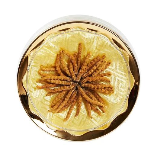 神象西藏那曲冬虫夏草6克扎花自用小草非培育 商品图0