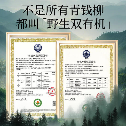 神农金康野生有机青钱柳90g 金钱柳嫩叶 深山老树嫩叶 养生茶 商品图1