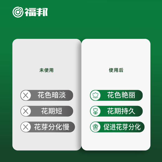 安小主花期专用酵母营养粉 商品图3