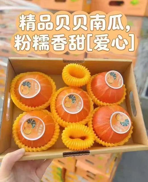 周三取货：【黄金贝贝南瓜】一箱3斤左右（5-6头）板栗口感，香甜粉糯。 商品图3