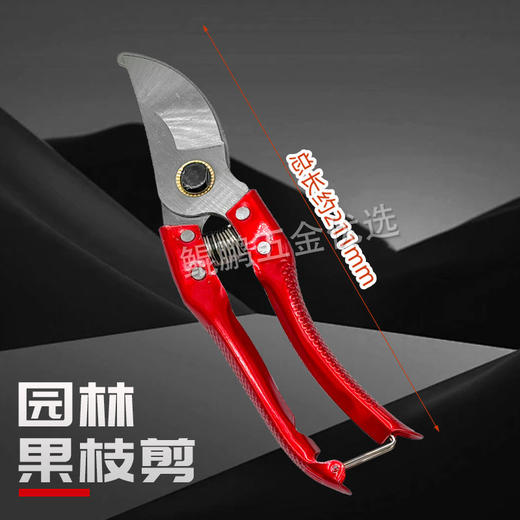 【货号010017】多功能园艺修枝剪粗枝细枝园林小树修剪刀 商品图4