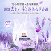 舒蕾 「高定香氛艺术」大师典藏礼包3784g 6977196337378 商品缩略图4