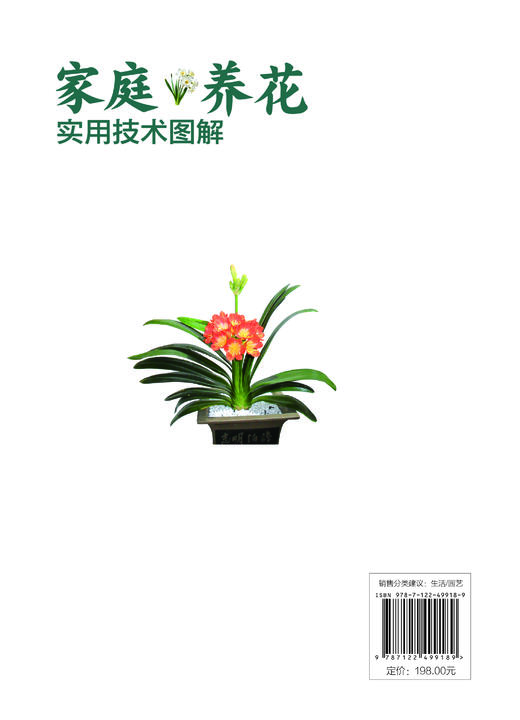家庭养花实用技术图解 商品图5