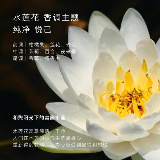 东方宝石 香氛沐浴乳（水莲花香）300ml 6971681185864 商品图3