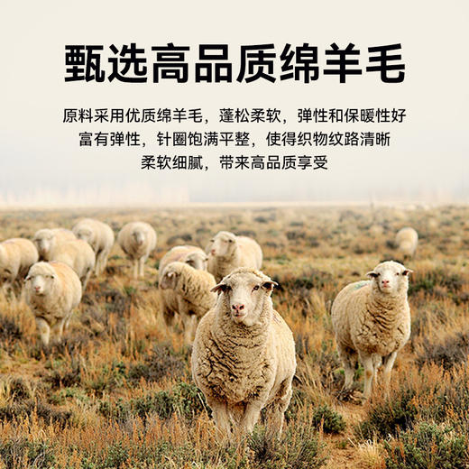 半身缘男装 春秋绵羊毛奥粒绒圆领合身卫衣PY41 商品图1