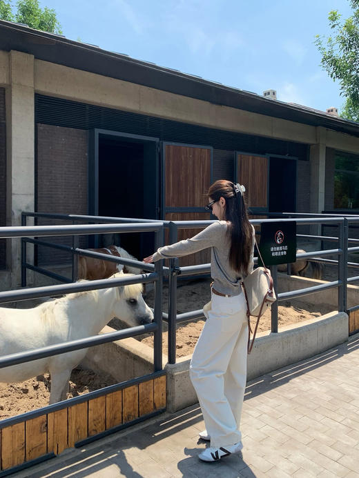 老钱风Polo领慵懒休闲V领针织衫春天的标配 商品图3