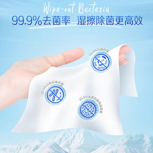 Tempo得宝 湿厕纸40片*8包(新旧款式随机) DB0J40-08A 商品图4