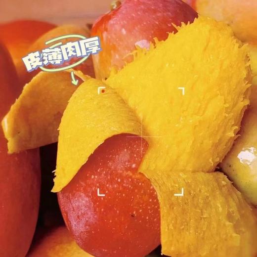【树上熟贵妃芒】真正树上成熟，尖头冒黄采摘，生长成熟期约150天，比其他贵妃长30天，皮薄肉厚，口感天花板 商品图4