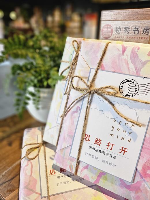 【赠送定制卡片】“大学问”盲盒  图书市集限定盲盒 广西师范大学出版社 单本装 商品图0