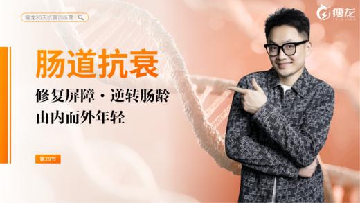 第29天 《肠道抗衰系统课》： 为什么说它是抗衰的 “司令部”？（上） 商品图0