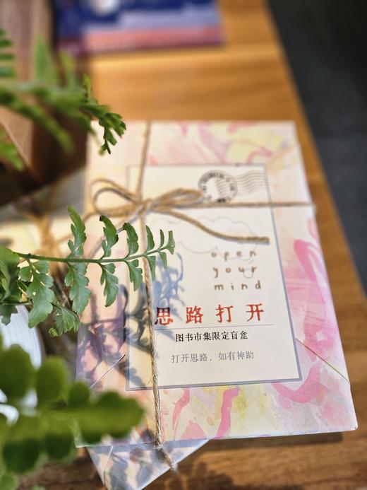 【赠送定制卡片】“大学问”盲盒  图书市集限定盲盒 广西师范大学出版社 单本装 商品图2