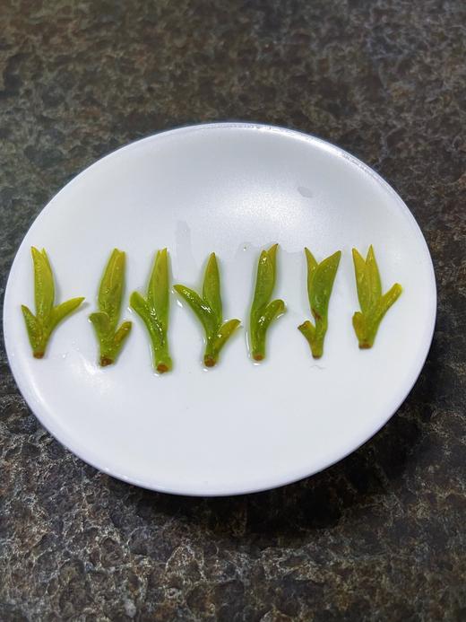 880龙井茶（250克/袋） 商品图4