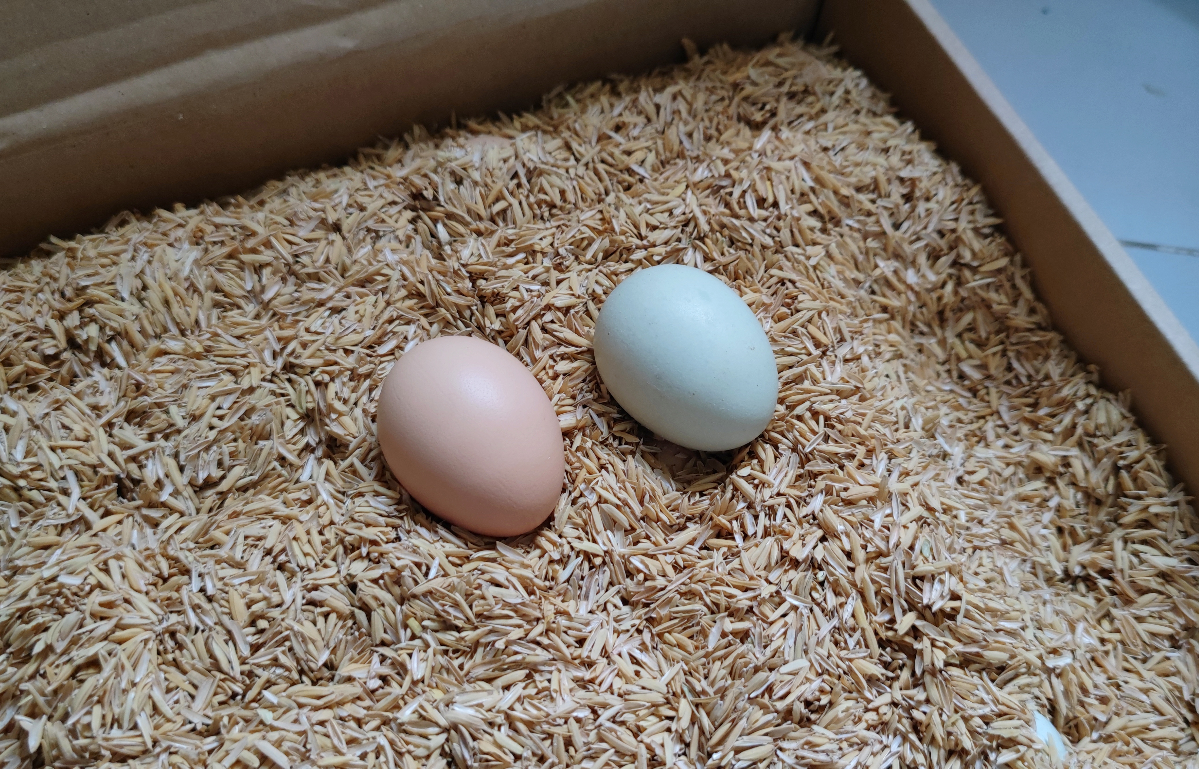 古农鸡蛋🥚｜土鸡蛋(纸盒谷壳环保装)·湖北大别山古农农场，下单后请耐心等待！