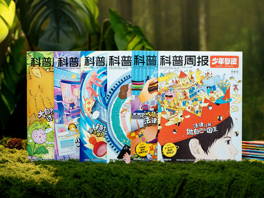 《科普周报·少年与法》2026年3月-2027年2月跨年订阅|一年12期，西南政法大学学术支持，专为9~15岁青少年打造的法商杂志，jing准直击生存痛点，用法律智慧照亮成长暗角 商品图9