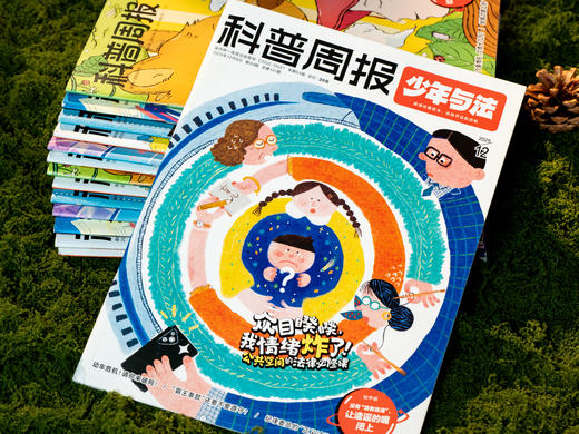 《科普周报·少年与法》2026年3月-2027年2月跨年订阅|一年12期，西南政法大学学术支持，专为9~15岁青少年打造的法商杂志，jing准直击生存痛点，用法律智慧照亮成长暗角 商品图2