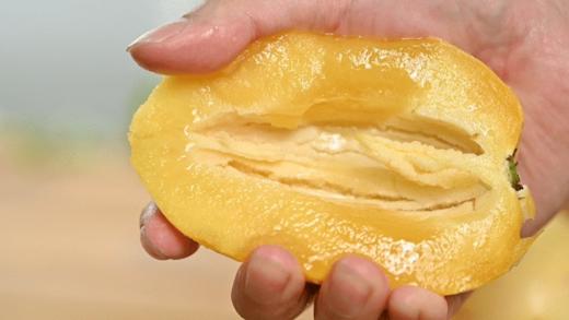 民勤沙漠人参果#皮薄肉厚清甜多汁，解渴解腻，民勤沙漠种植，昼夜温差大，雪水灌溉营养丰富 4.5斤中果 商品图2