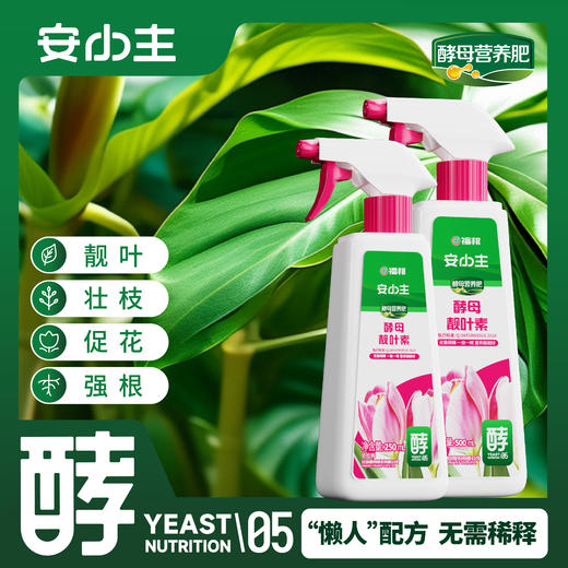 福邦液体肥安小主酵母靓叶素 商品图0
