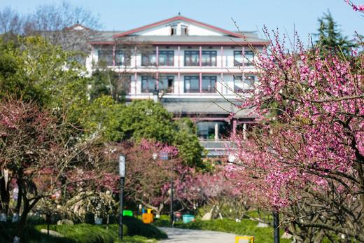 ★聚会游★清明不加价￥399起/人！睡进超山旁【杭州金浦万和伴山酒店】伴山庭院房+早餐+4顿正餐！畅游泳池、健身房！满8人享免费棋牌、ktv、台球等！有效期至2026年6月30日 商品图1