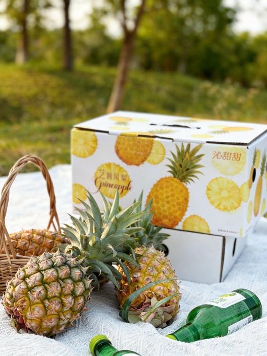 「不用泡盐水」火岛凤梨｜蜜韵十足唇齿留香（无需泡盐水）沁甜甜 txa 商品图5