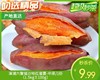 漳浦六鳌镇沙地红蜜薯-中果/1份（1.5kg±100g） 商品缩略图0