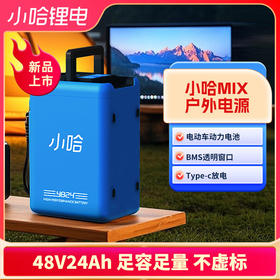 【美点特惠】48V24AH 小哈锂电 新国标充电口 全新直购（附赠转接口）不含安装