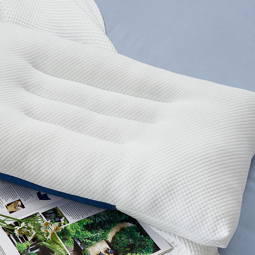 富安娜 决明子牵引对枕 商品图7