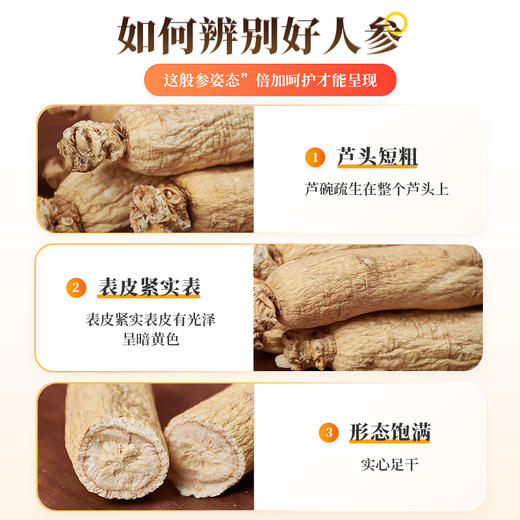 千年珍全须人参礼盒 长白山产区 多规格 商品图1