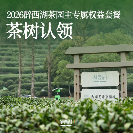2026茶树认领 醉西湖茶园主专属权益套餐 商品图0