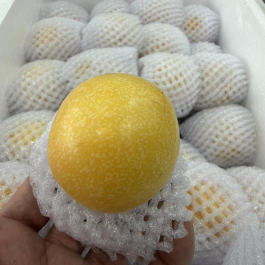 高糖 纯树熟人参果 脆甜嫩 来自高海拔16.8/2斤 商品图2