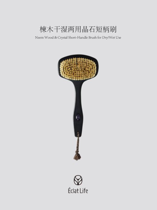 ÉclatLife｜楝木干湿两用晶石短柄刷 商品图0