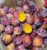 智力即食西梅4J大果进口原箱顺丰包邮 商品缩略图3