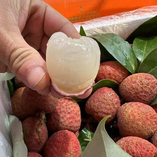 尊蓝老树桂花香荔枝3斤装，每一颗树上成熟，吃的到的新鲜，满口的温柔细腻 商品图0