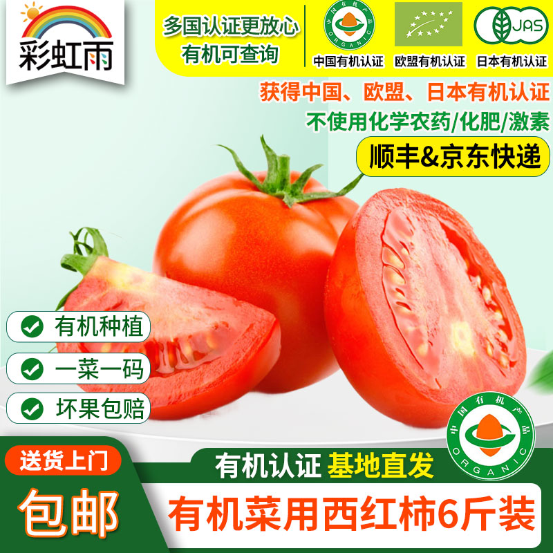 彩虹雨有机蔬菜现摘新鲜草莓西红柿番茄4斤/6斤装欧盟认证全国包邮