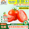 彩虹雨有机蔬菜现摘新鲜草莓西红柿番茄4斤/6斤装欧盟认证全国包邮 商品缩略图0
