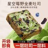 【绵软香甜！独立袋装】星空莓野全麦吐司厚切生即食早餐代餐好吃果干面包。xa 商品缩略图0