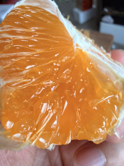 烈焰甜心·麒麟金川·柑橘类水果新王驾临！ 商品图1