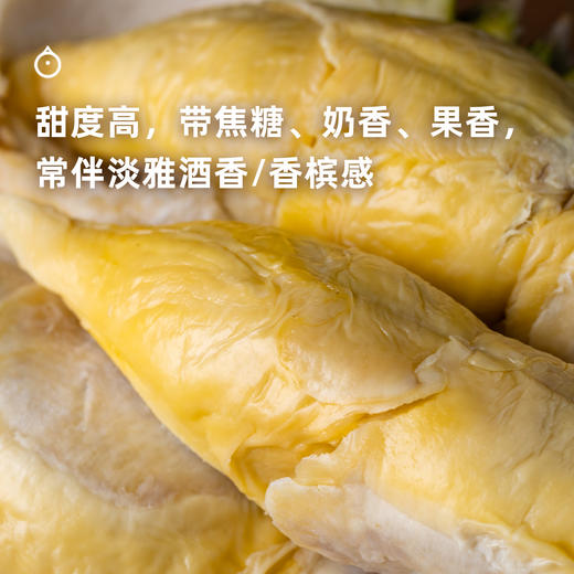 企鹅市集|马来西亚液氮冷冻榴莲 小众品种「红虾」 质地紧致浓郁焦糖奶香 甜蜜十足 商品图4