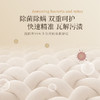 BESITING碧丝汀 内衣专用洗衣液衣液500ml 6976409160048 商品缩略图3