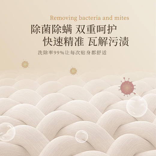 BESITING碧丝汀 内衣专用洗衣液衣液500ml 6976409160048 商品图3