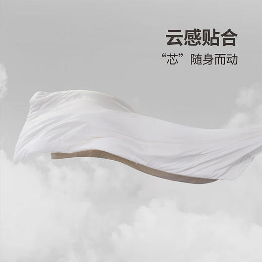富安娜 柔润纯棉抗菌蚕丝被203*229cm(800g) 商品图4