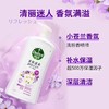 滴露 沐浴露小苍兰蜜梨950g 6974352530567 商品缩略图4
