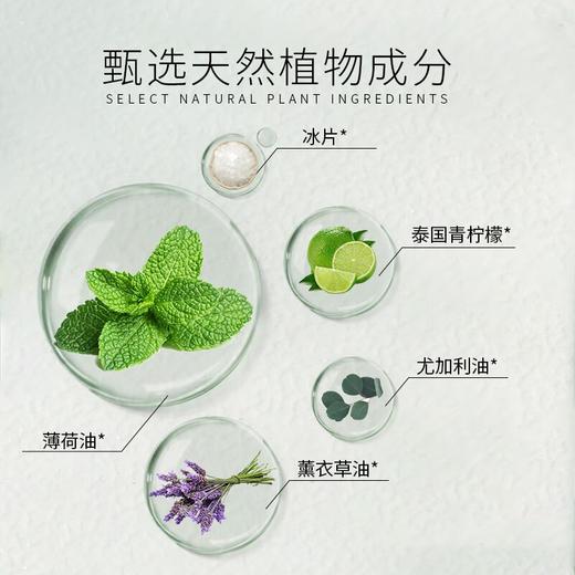 VINCERE泰国进口鼻通棒鼻吸清凉油学生防瞌睡鼻塞开车蚊虫叮咬止痒液薄荷柠檬味2ml*3支装 商品图2