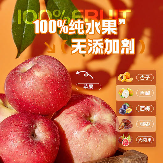 诗梦园·糖果6种水果混装果丹皮100g  解馋小零食 商品图4