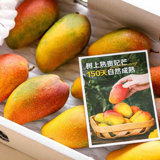 海南树上熟贵妃芒礼盒装 时令小芒果 香甜浓郁 京东发货 商品图3