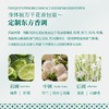 余伯年 四黄健肤沐浴露500g YBN-SHMYL 商品缩略图4