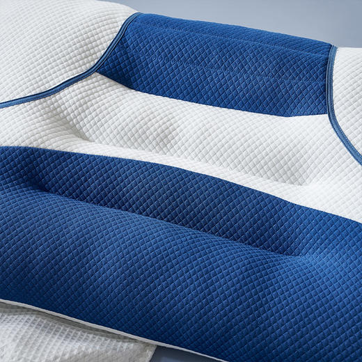 富安娜 决明子牵引对枕 商品图4