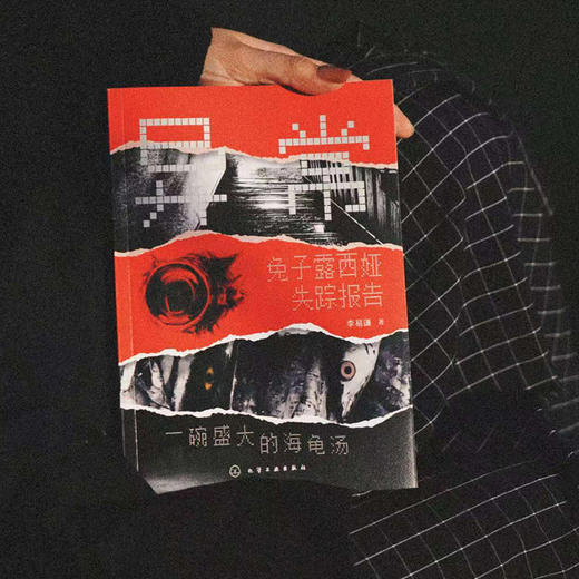 异常：兔子露西娅失踪报告 商品图2